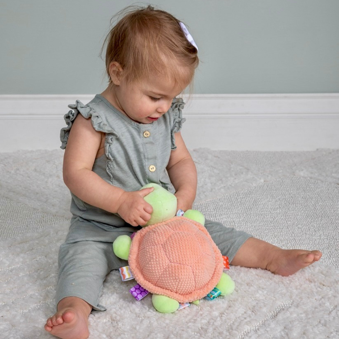 41684_03 41684 Taggies Tippy Turtle Soft Toy