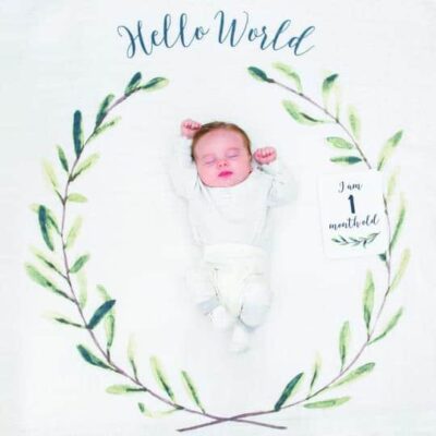 Lulujo Baby's First Year - Hello World