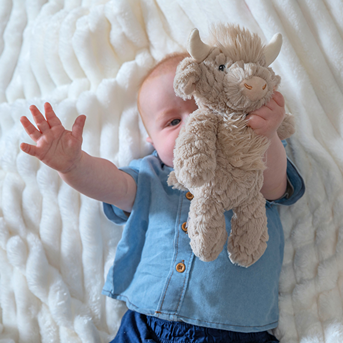 42950 Putty Nursery Highland Cow