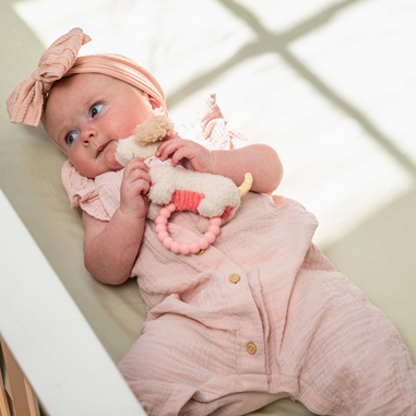 43310 Dancing Dachshund Teether Rattle