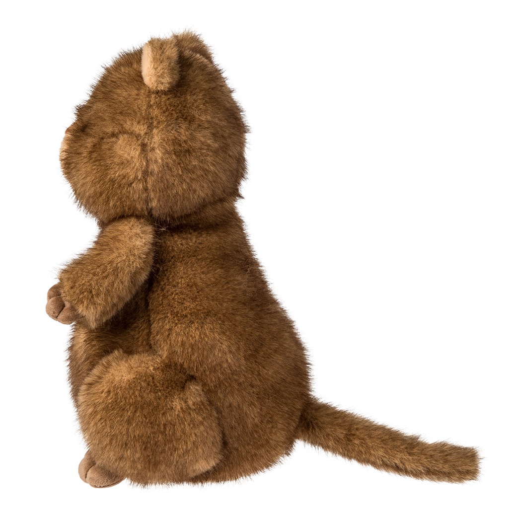 55280 Chipper Quokka